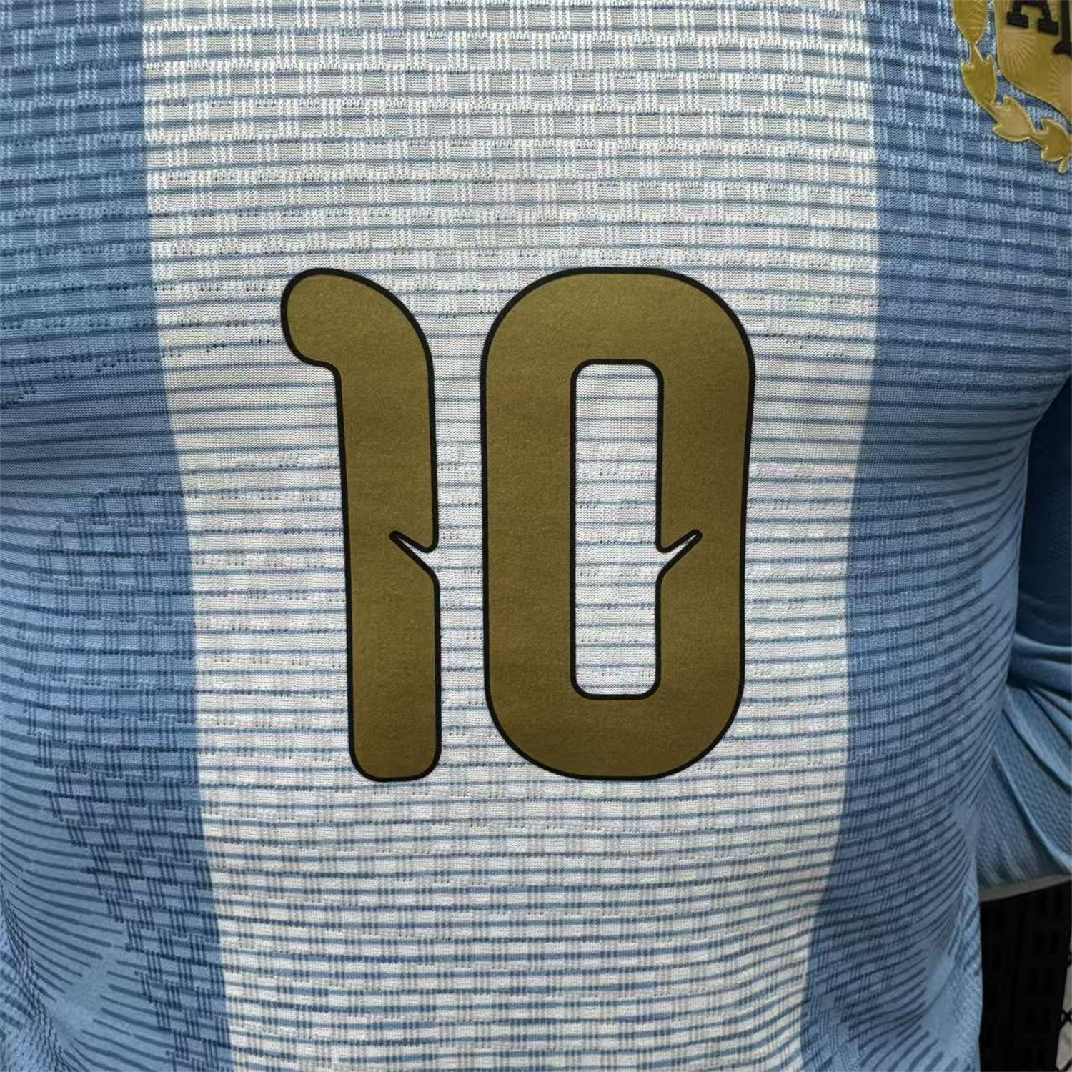 (MESSI #10) Argentina 2026 Messi Last Match Long Sleeves Special Jersey - Player Version - JerseysGala