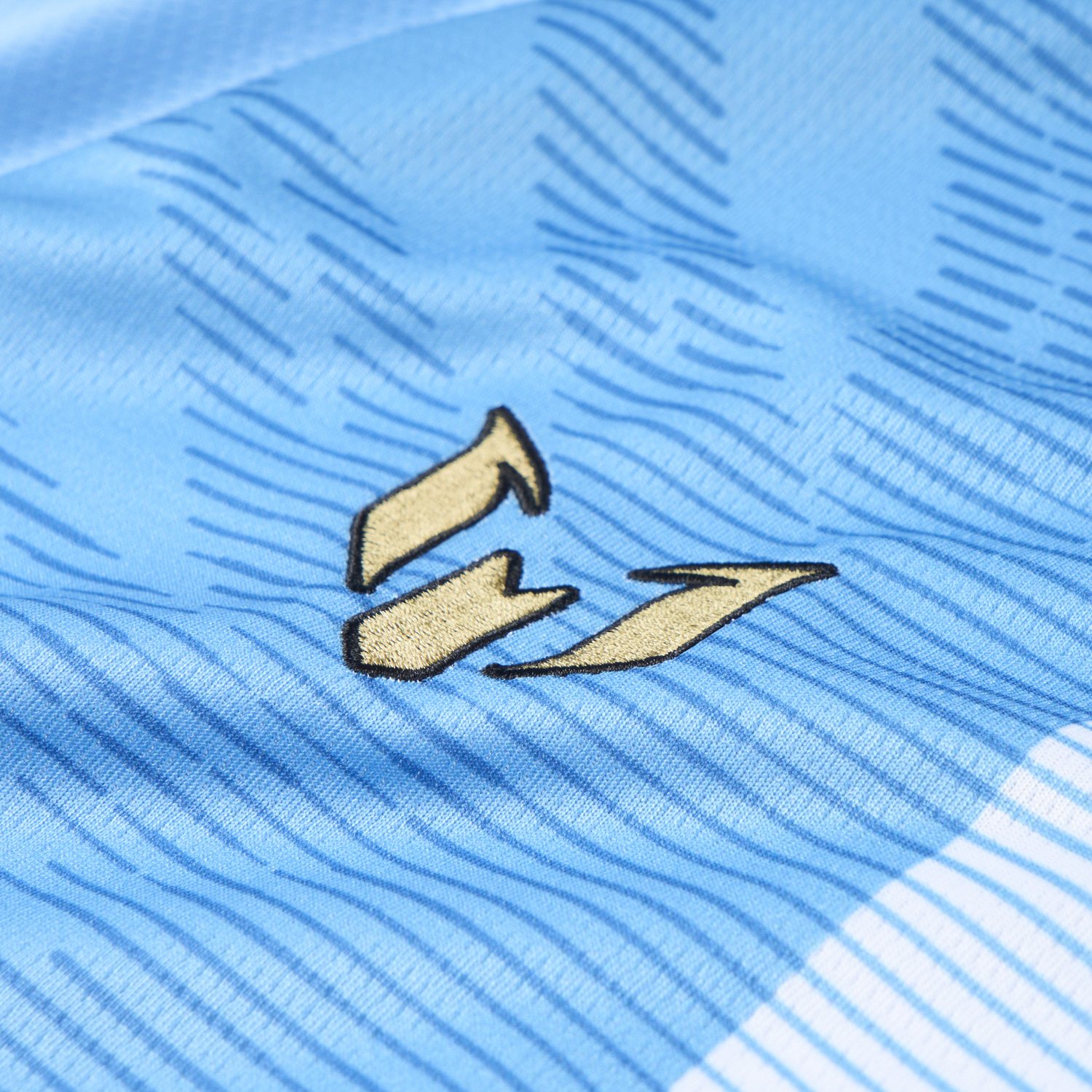 Argentina 2026 Messi Anniversary Special Jersey - Fans Version - JerseysGala