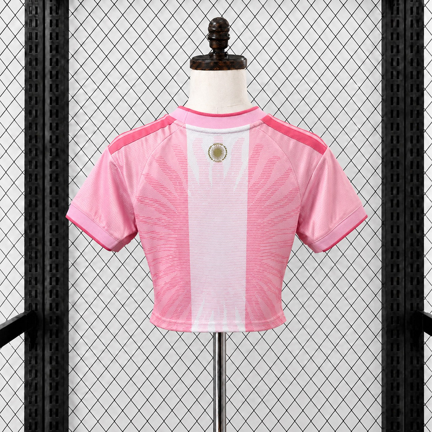 Women's Argentina 2026 MESSI Tribute Pink Cropped Jersey - Fans Version - JerseysGala
