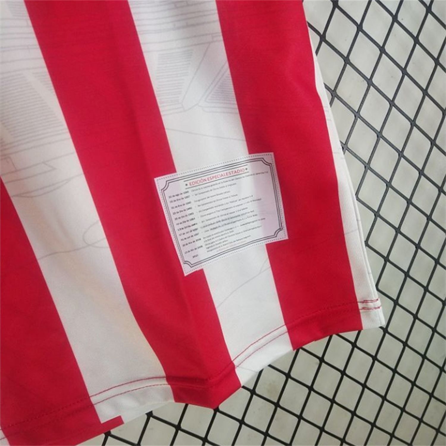 Retro Chivas de Guadalajara 2010-11 Home Jersey - JerseysGala