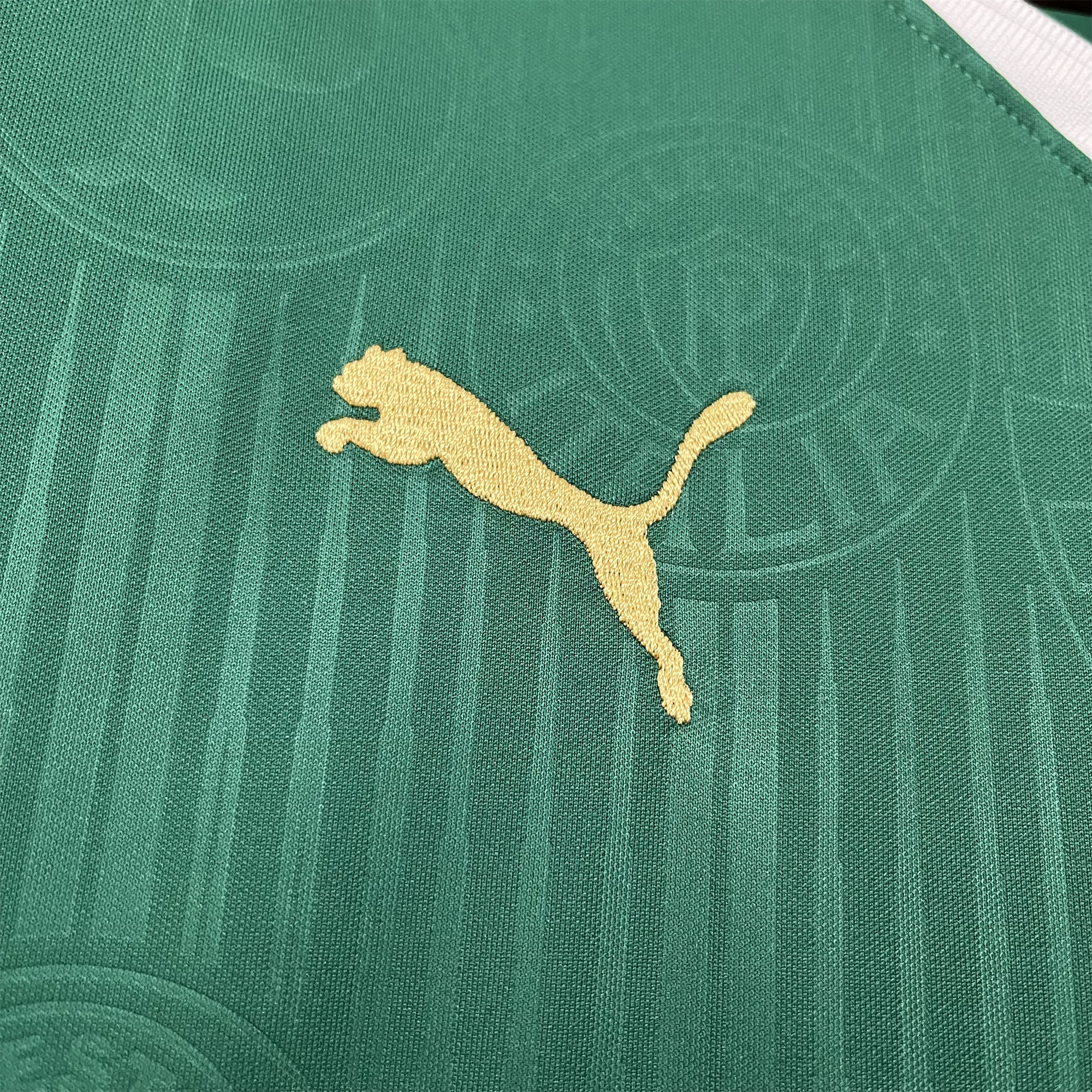 Palmeiras 2024 Home Stadium Jersey - Fans Version - JerseysGala