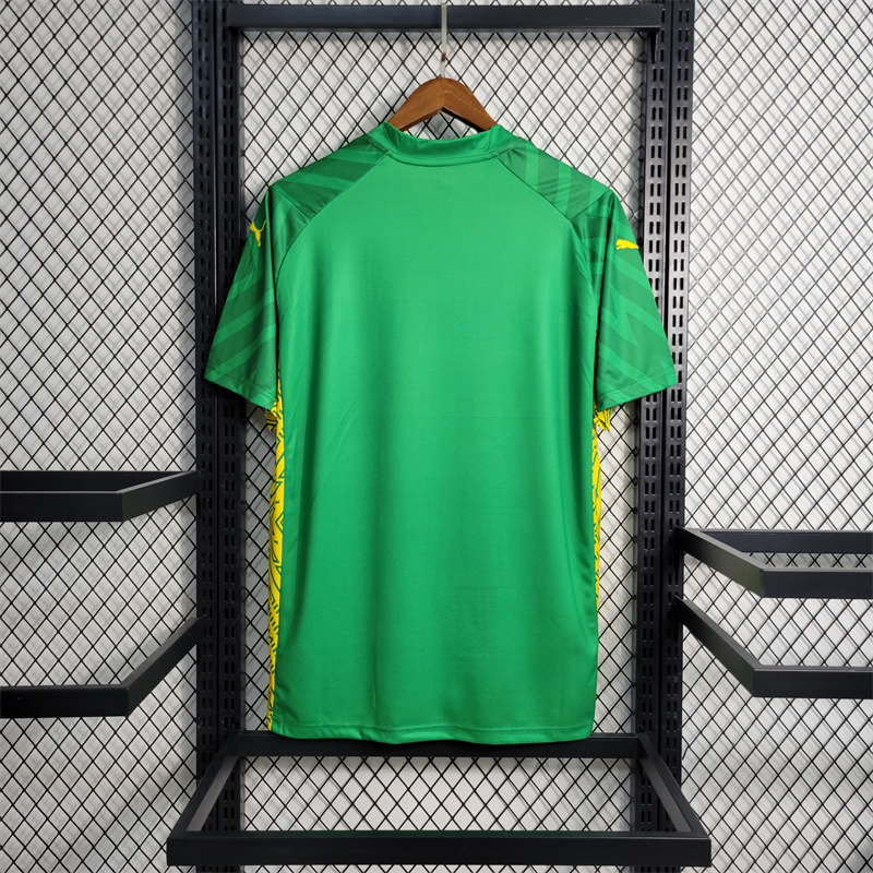 Manchester City 23-24 Green Goalkeeper Jersey - Fans Version - JerseysGala