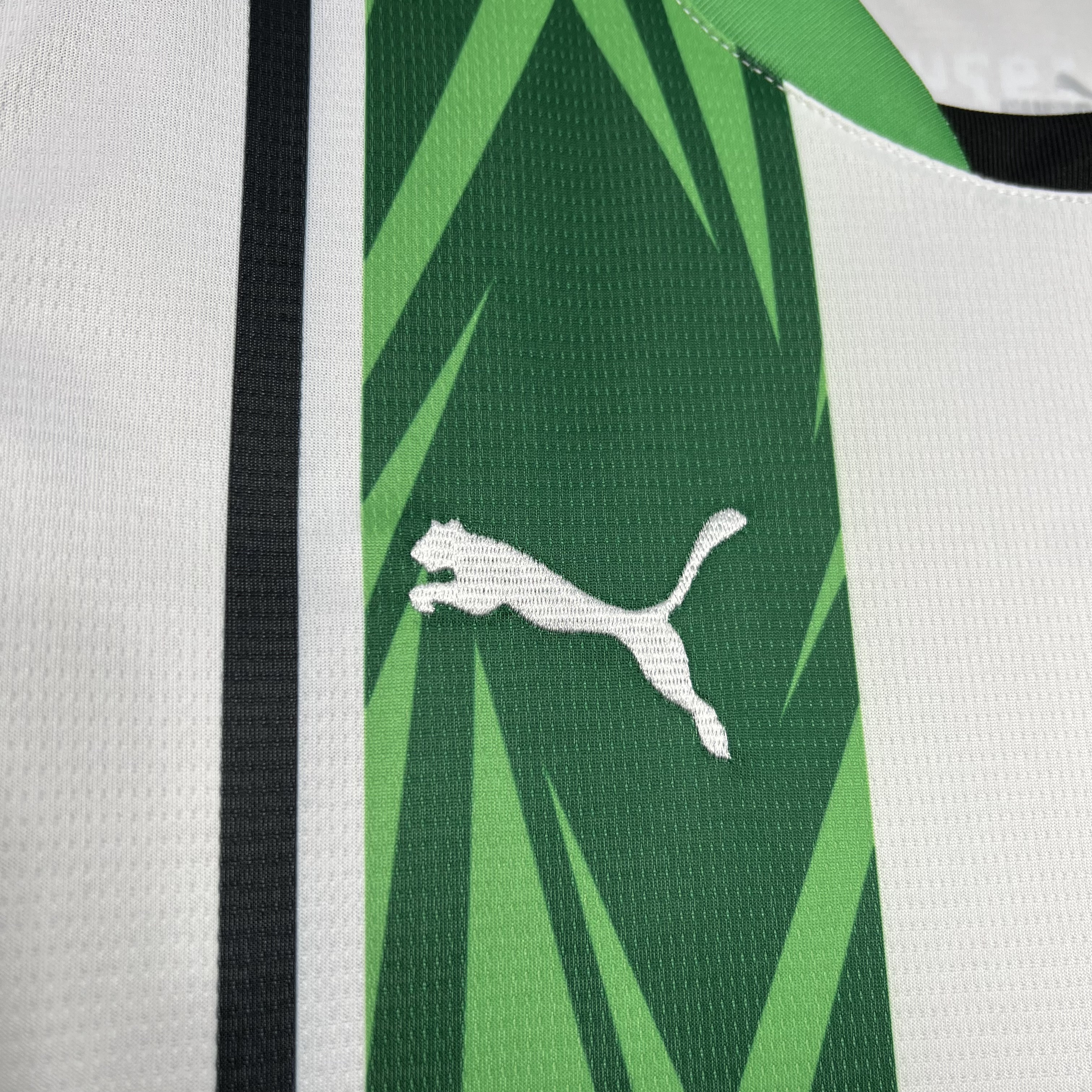 Borussia Mönchengladbach 24-25 Home Stadium Jersey - Fans Version - JerseysGala