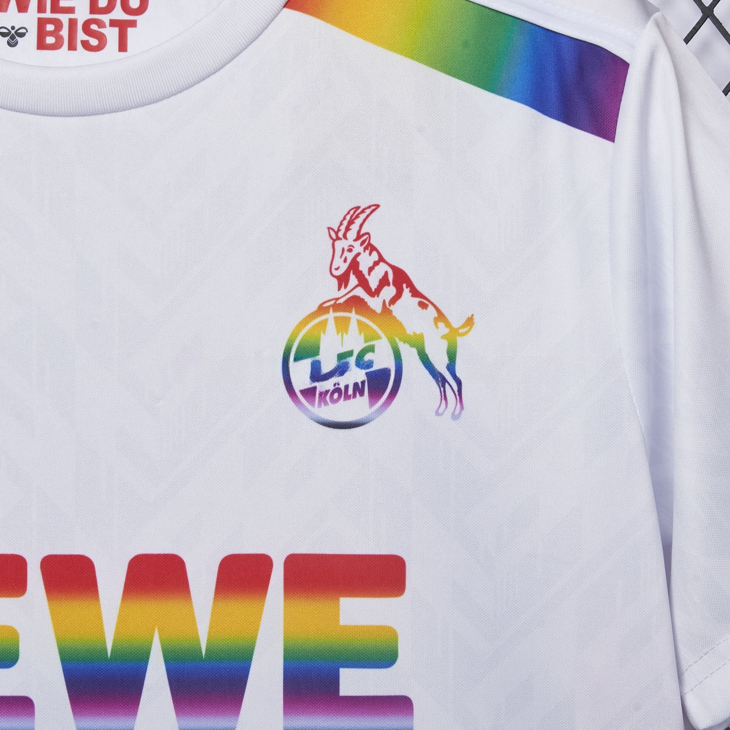 1. FC Köln 2024-25 Pride Diversity Special Edition Jersey - Fans Version - JerseysGala