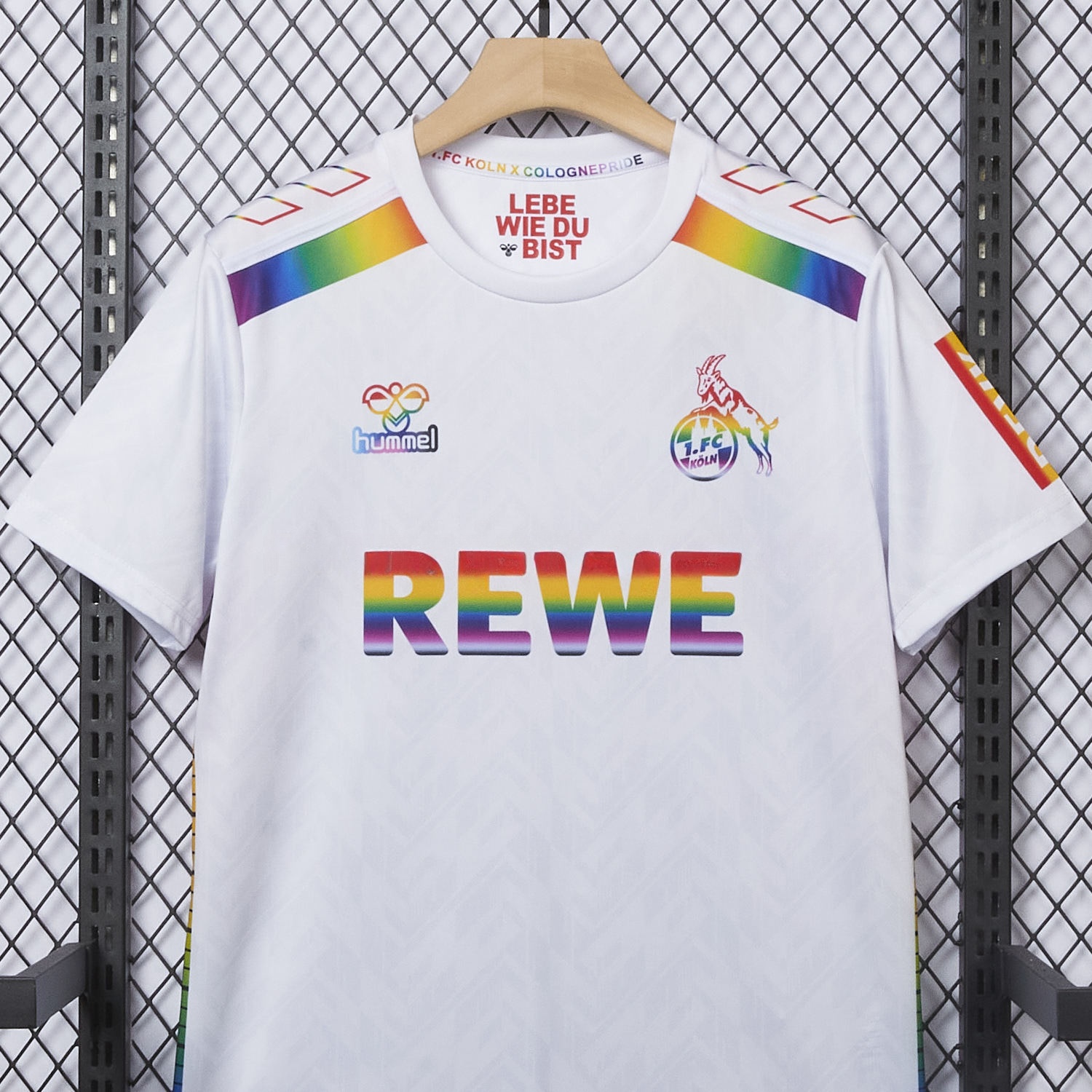 1. FC Köln 2024-25 Pride Diversity Special Edition Jersey - Fans Version - JerseysGala