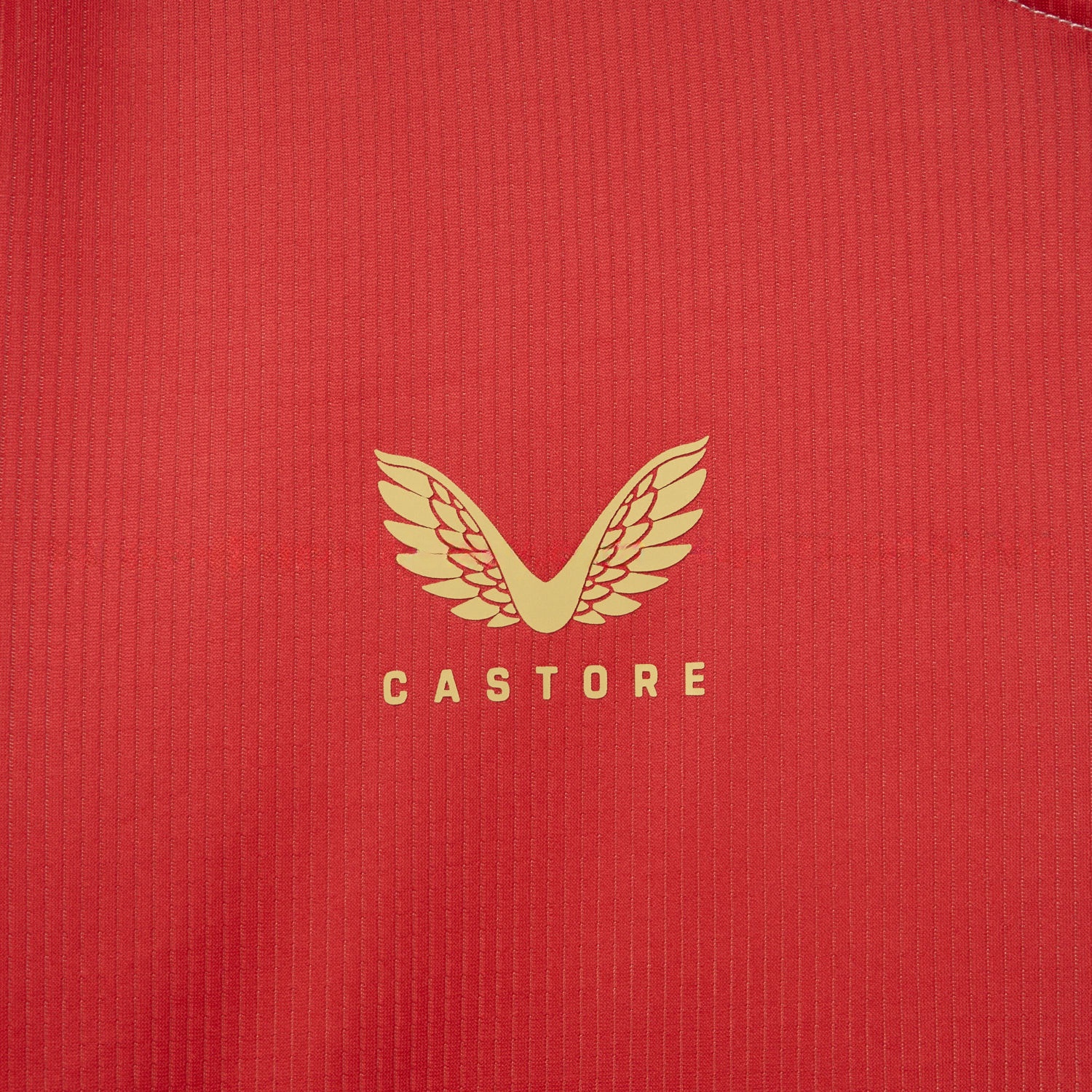Feyenoord 25-26 Home Jersey - Fans Version - JerseysGala