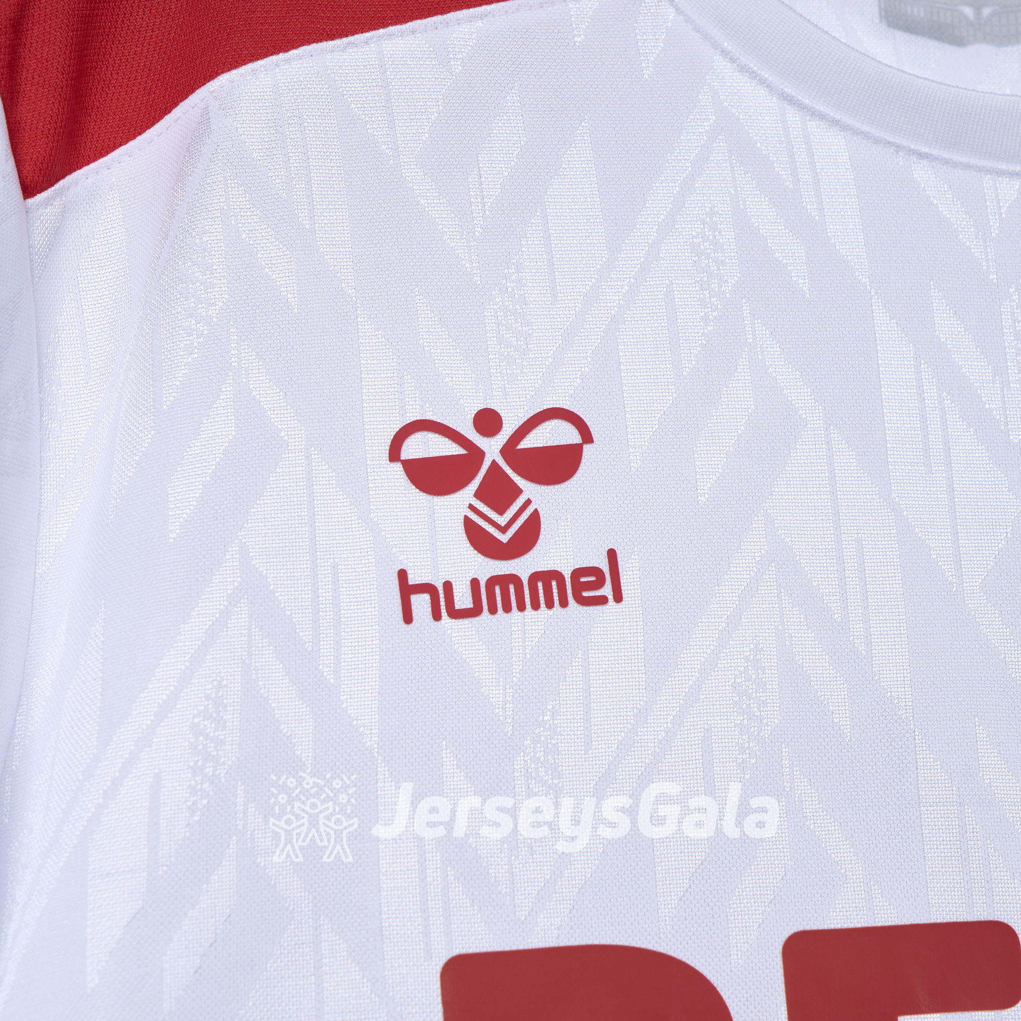1. FC Köln 24-25 Home Jersey - Fans Version - JerseysGala