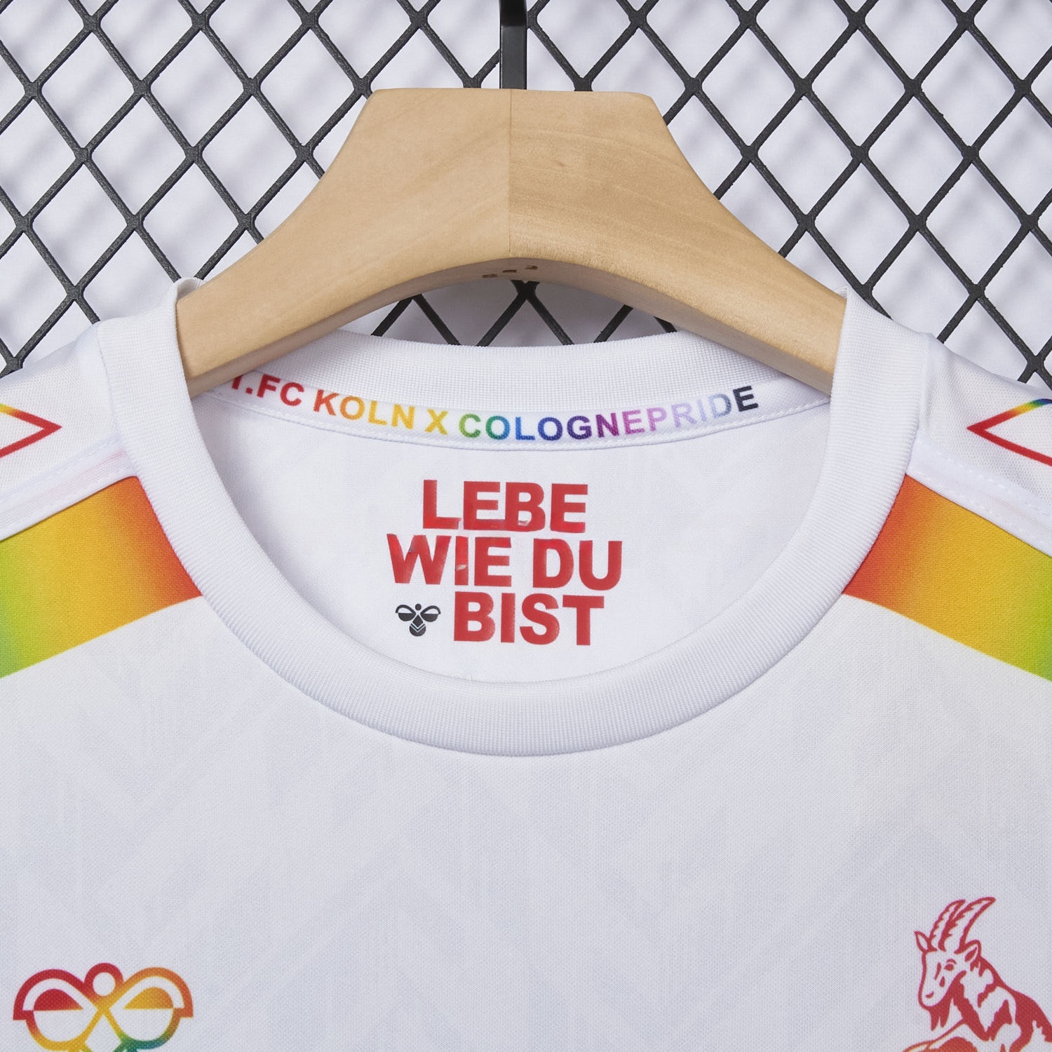 1. FC Köln 2024-25 Pride Diversity Special Edition Jersey - Fans Version - JerseysGala