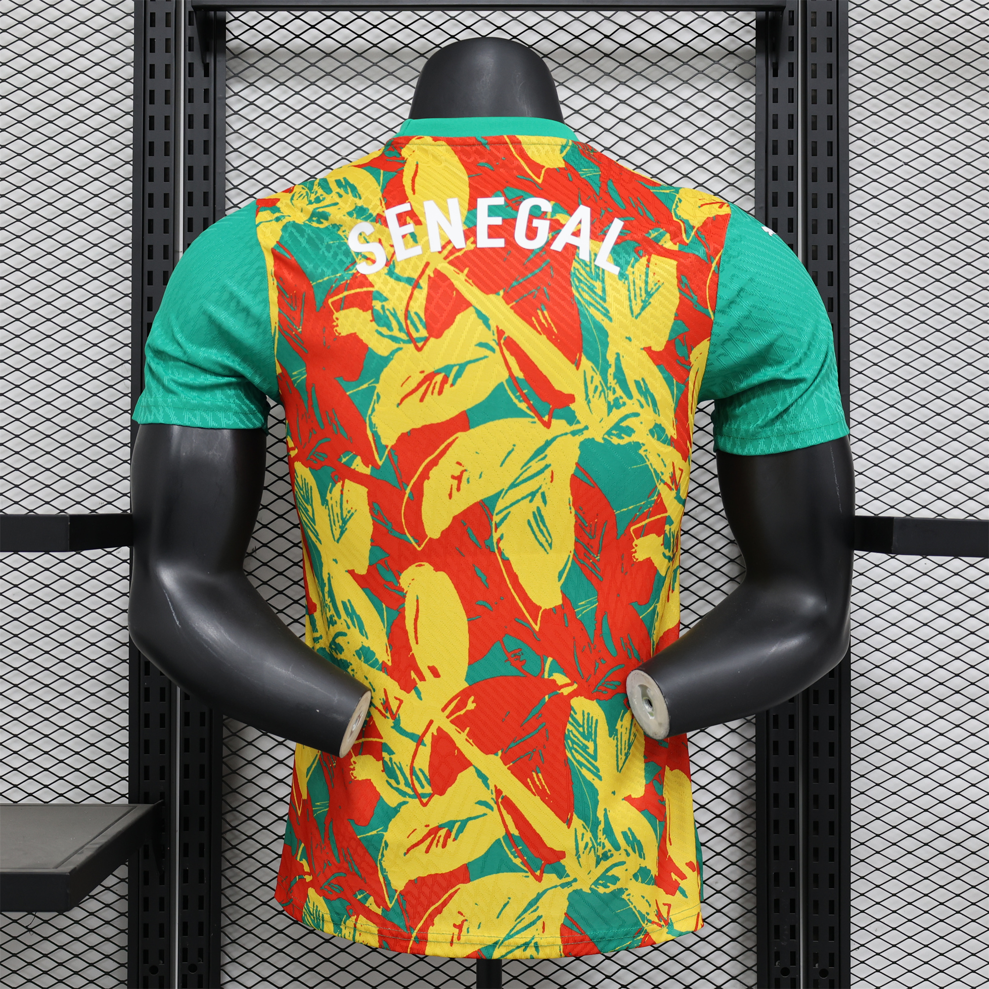 Senegal 24-25 Pre-Match Jersey - Player Version - JerseysGala