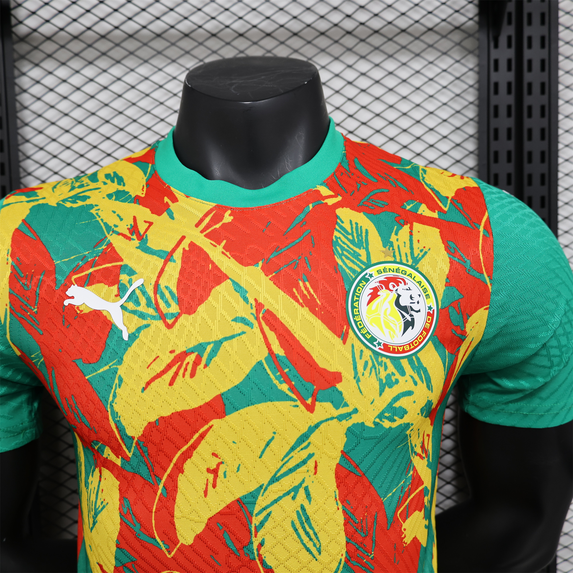 Senegal 24-25 Pre-Match Jersey - Player Version - JerseysGala
