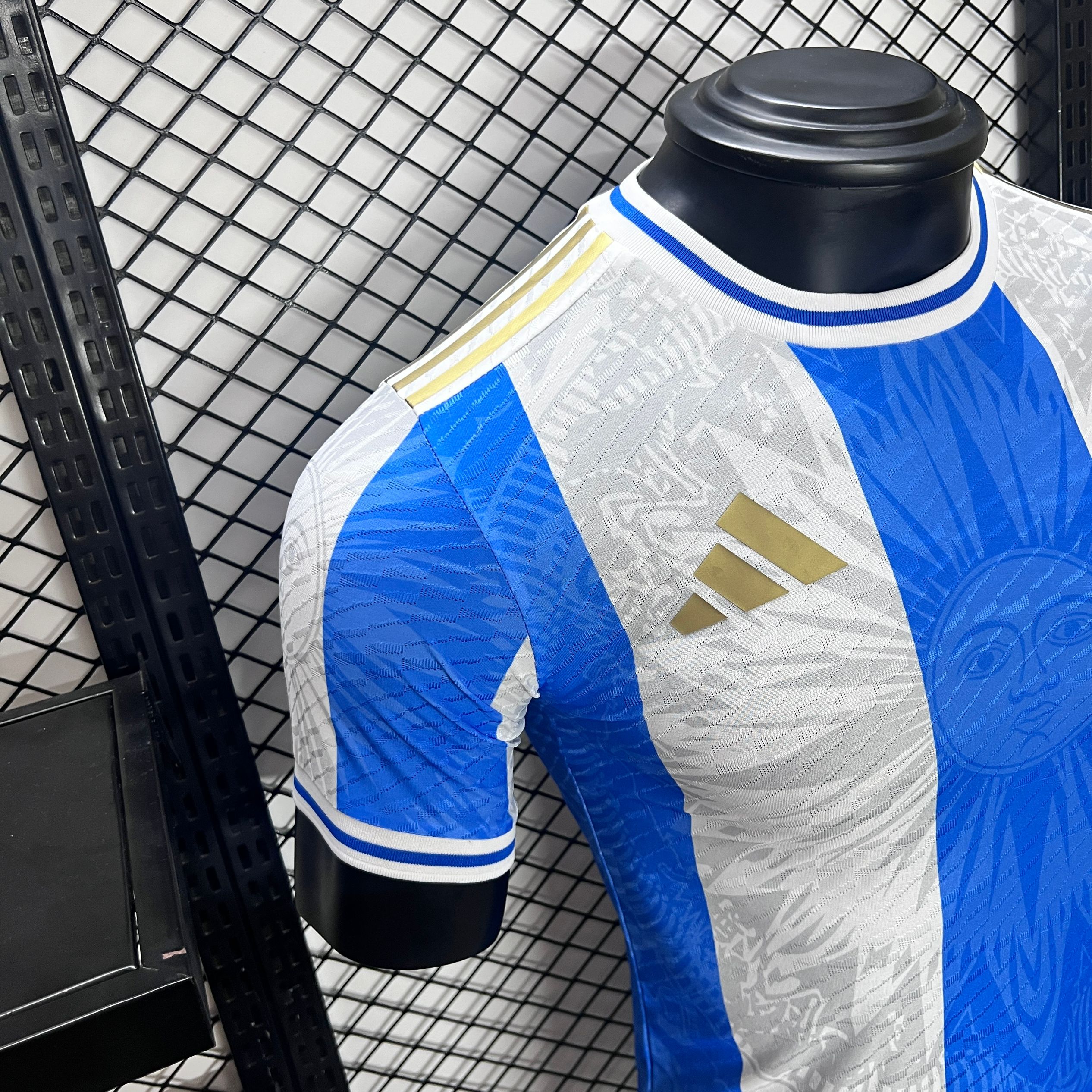 Argentina 2024 Sun of May Special Edition Jersey - Player Version - JerseysGala