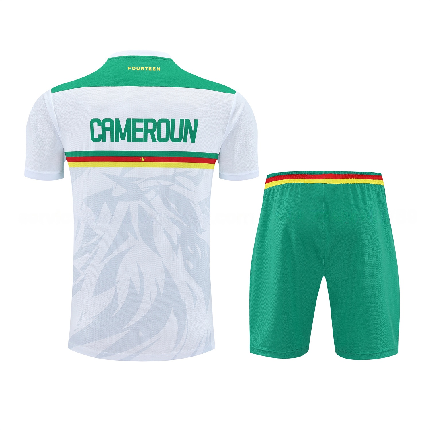 Cameroon 25-26 Short-Sleeve Training Set - White Top and Green Shorts - JerseysGala