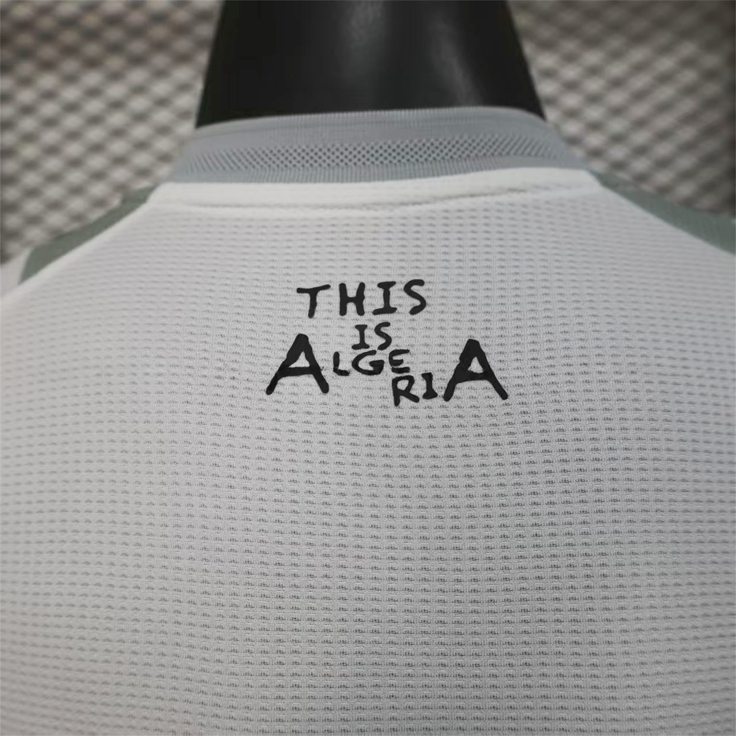 Algeria 25-26 Grey Plant White Special Jersey - Player Version - JerseysGala